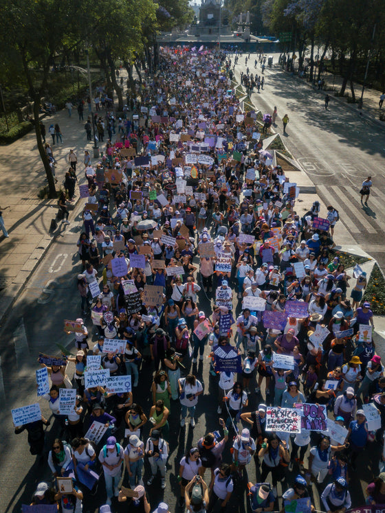 Callout - Protestors Marching